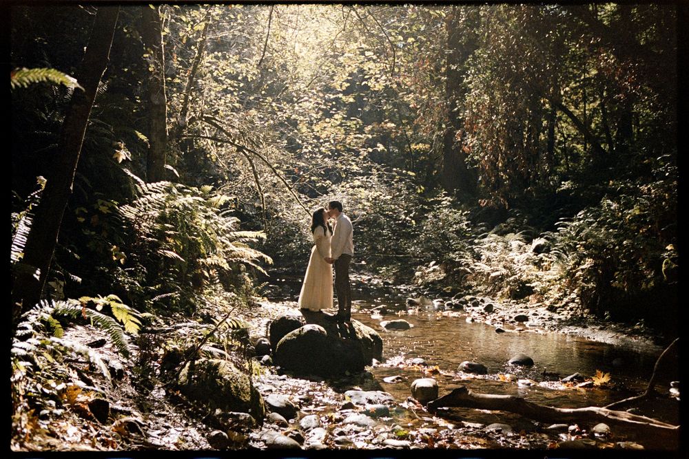 Couple sharing a romantic kiss in a sunlit forest creek, surrounded by lush ferns and rocks in a dreamy wedding photo.