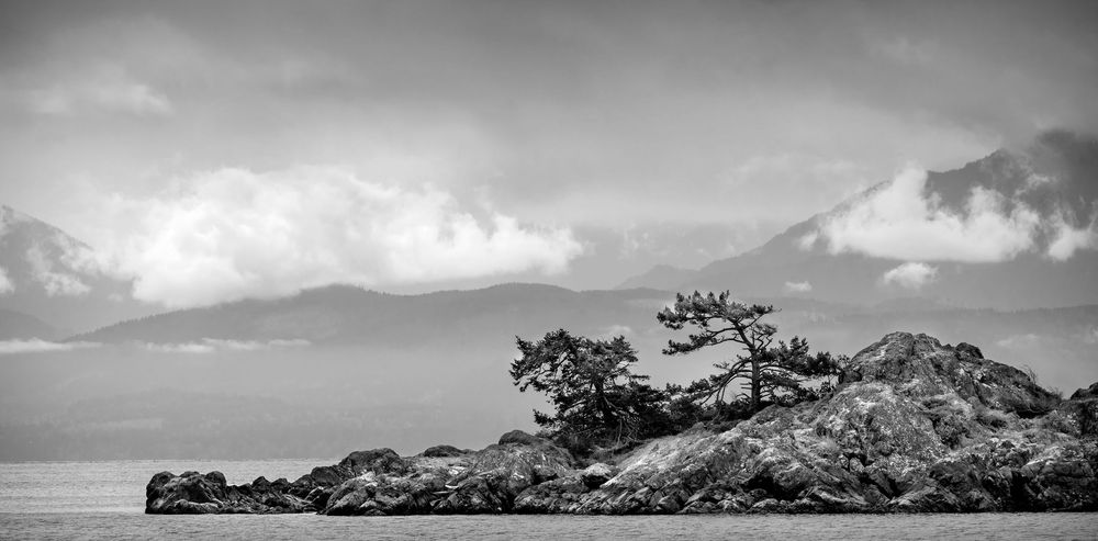 A dramatic black and white panoramic landscape featuring mountains, trees, and clouds in a moody natural setting.
