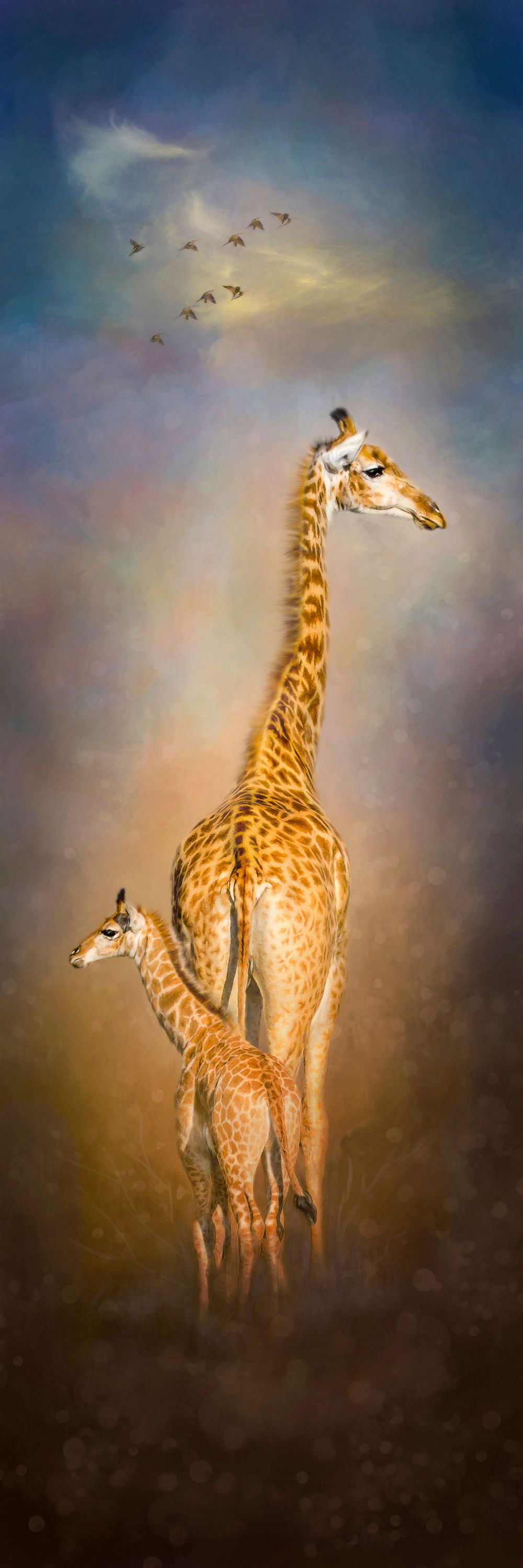 Two majestic giraffes stand together in a misty savanna as birds fly overhead against a dramatic sunset sky.