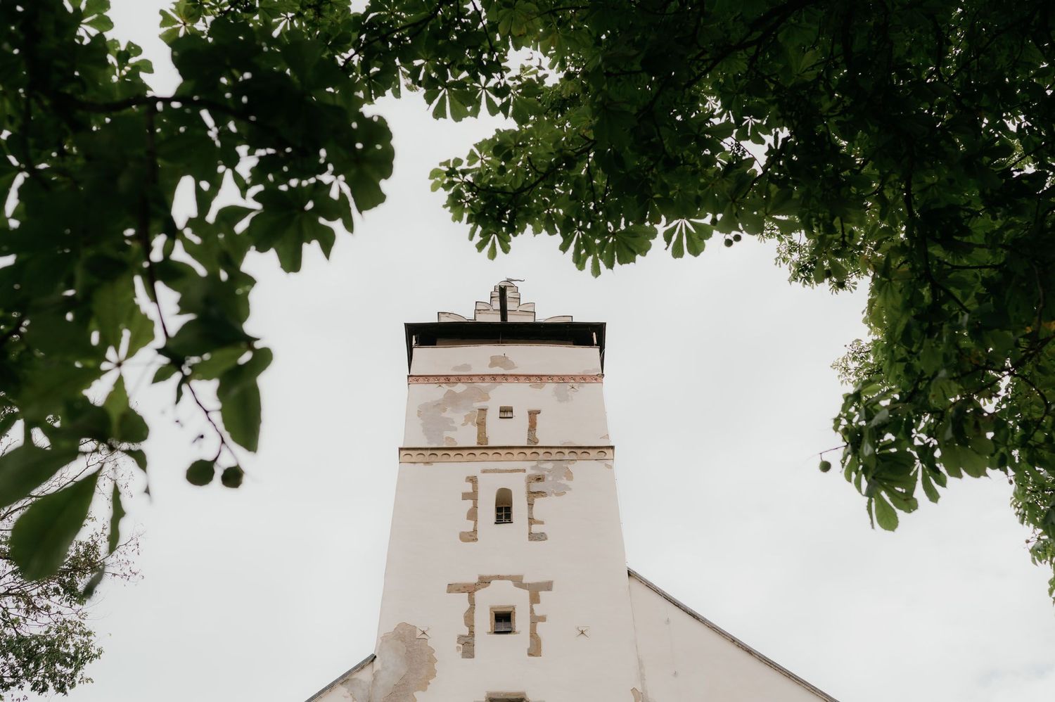 Historic white church tower framed by green tree branches against overcast sky.