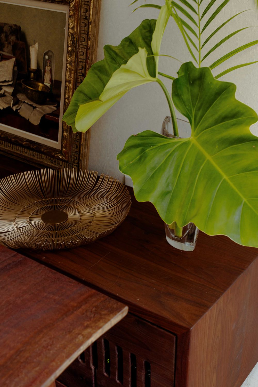 Tropical elephant ear plant in glass vase on walnut sideboard with gold decorative bowl and ornate mirror.