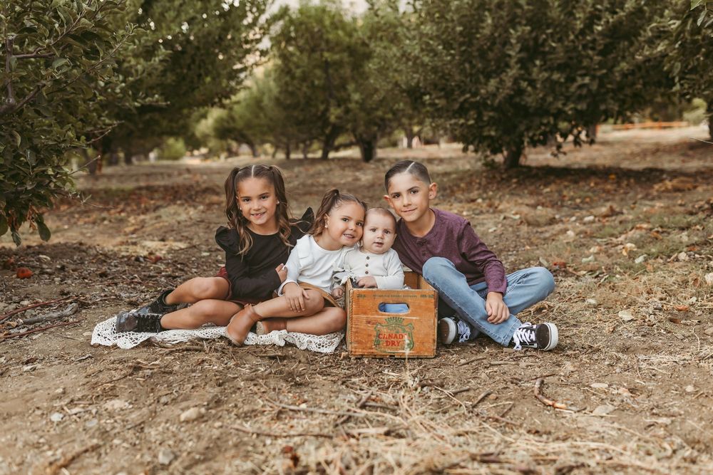 Four children sitting together outdoors in an orchard with a vintage suitcase prop during a fall family photo session.