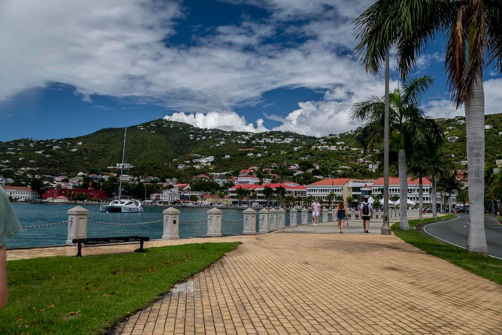 Scenic waterfront promenade in St. Thomas USVI with palm trees, marina, and lush green hillside under partly cloudy skies.