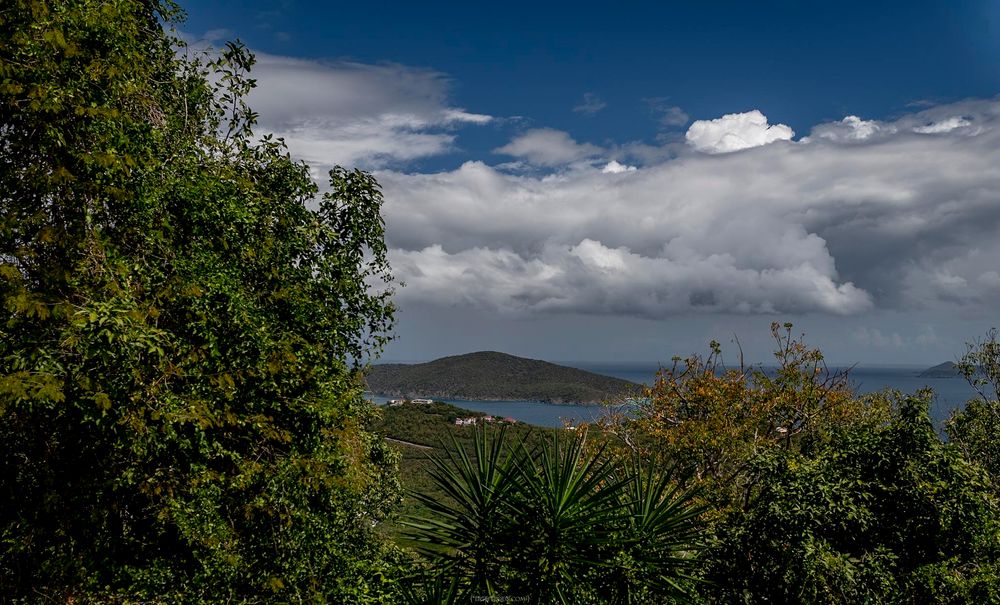 Panoramic coastal view with lush green trees, agave plants, calm blue bay, distant hills, and dramatic white clouds in a bright sky.