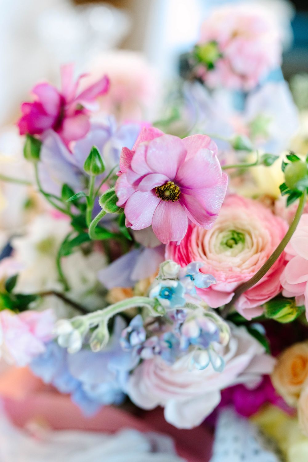 Close-up of a vibrant wedding bouquet featuring pink cosmos, ranunculus, and blue hydrangeas in soft pastel tones.