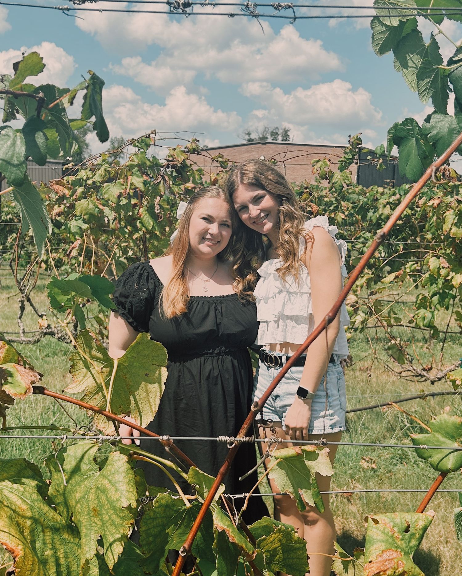 Two young people in casual summer outfits pose together in front of grape vines at a vineyard on a sunny day.