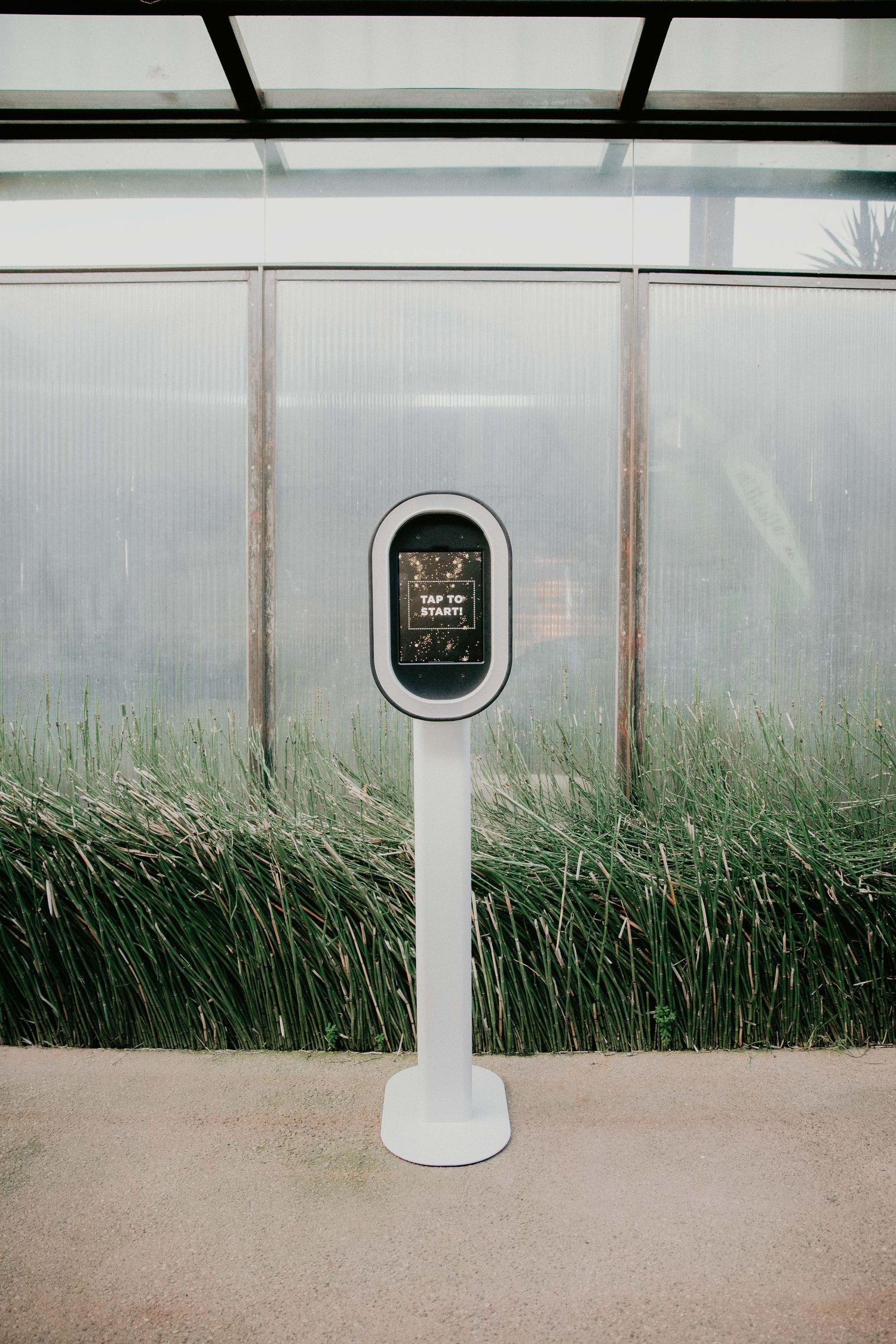 A modern smart robot assistant stands in front of tall green plants inside a greenhouse or indoor garden space.