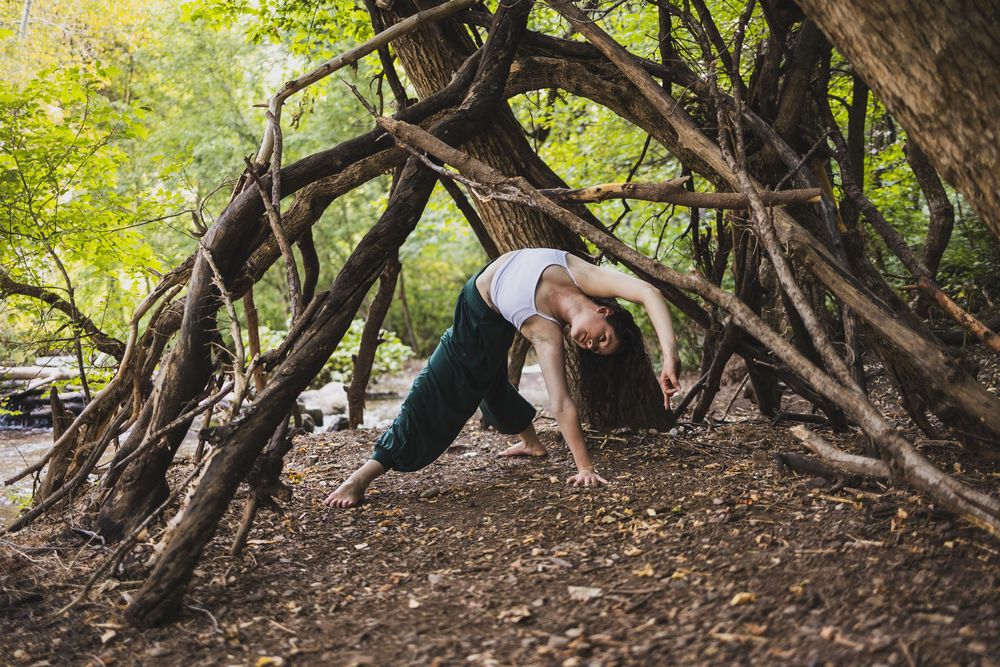 A yoga portrait of a woman practicing yoga in the forest.