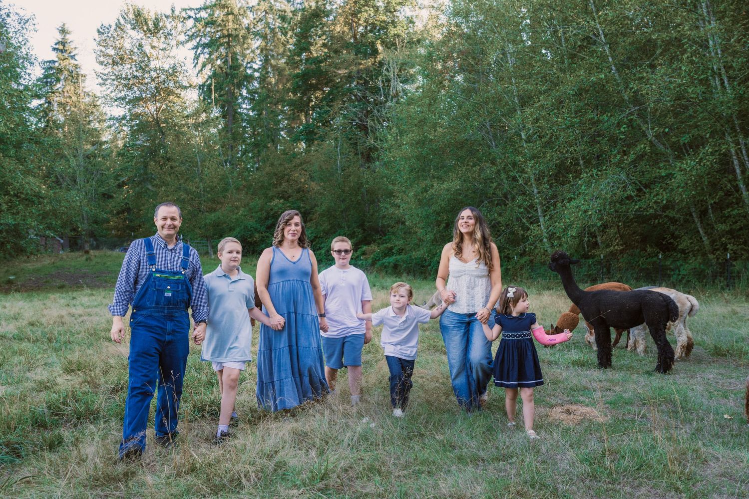 An extended family of eight walks hand in hand through a meadow at Enchanted Farms in Duvall, WA, with alpacas grazing nearby.