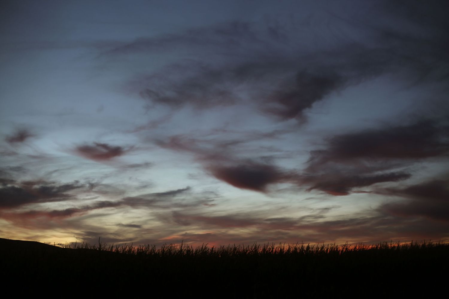 A dramatic sunset sky with dark clouds silhouettes a row of trees along the horizon against a dusky backdrop.