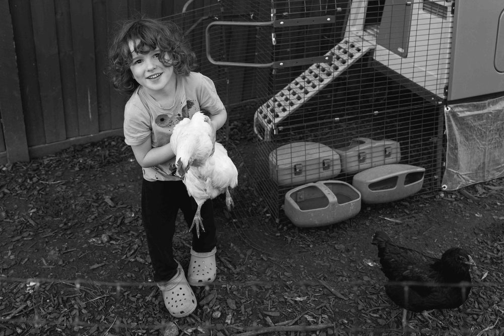 Boy holding chicken and smiling