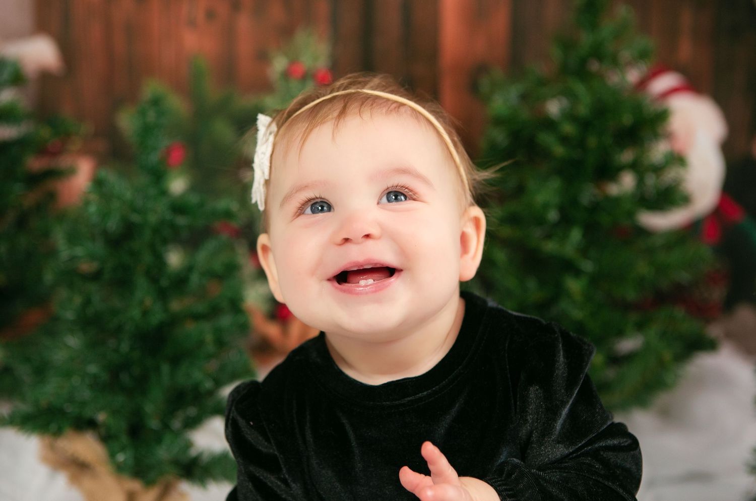 Black velvet holiday outfit against a festive background with greenery.