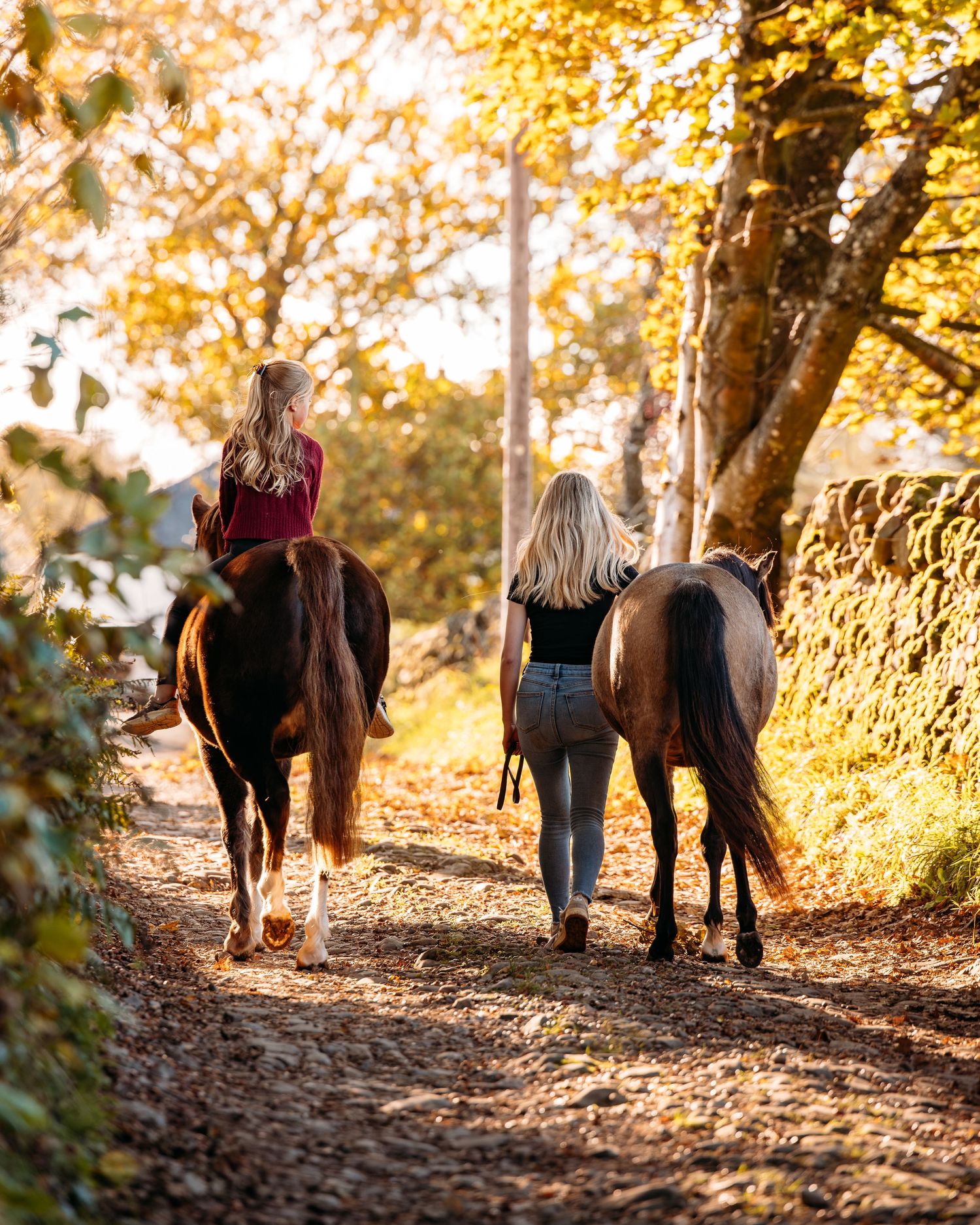 People walking with horses on a tree-lined autumn path.
