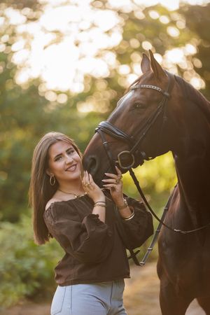 Bruin paard tijdens golden hour