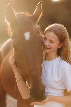 Bruin paard tijdens golden hour