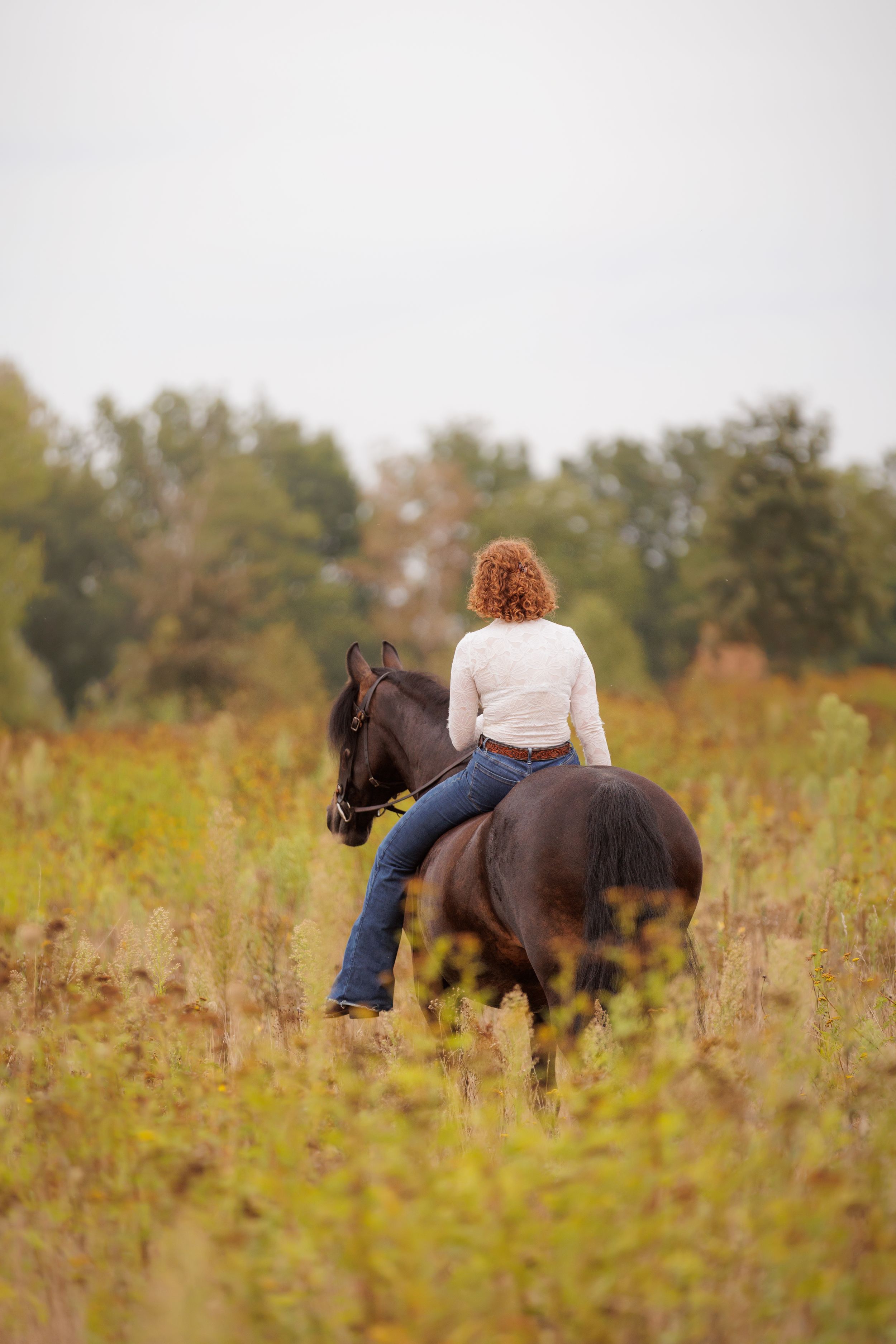 Paard en ruiter lopen samen weg in veld