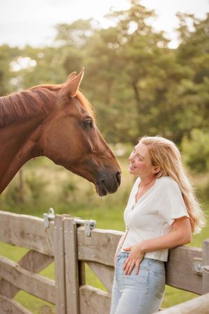 Voskleurig paard tijdens golden hour