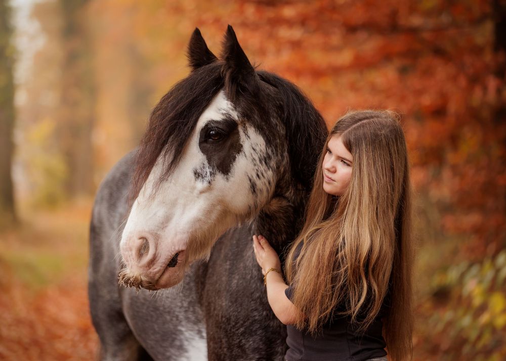 Liefdevolle paardenfotografie Twente - LivHoomansPhotography