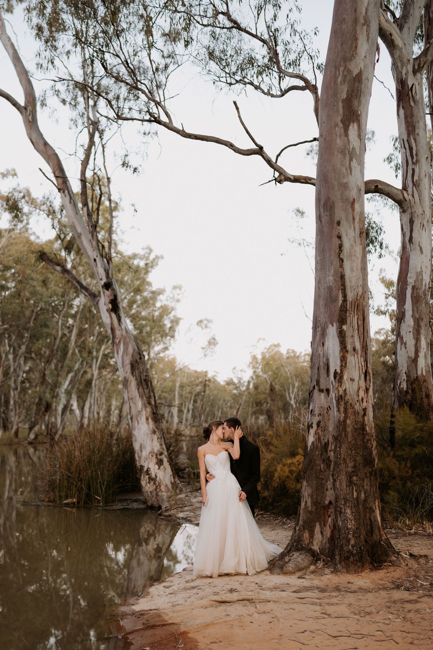 A wedding celebration in a eucalyptus forest with confetti being tossed as guests gather in the natural setting.