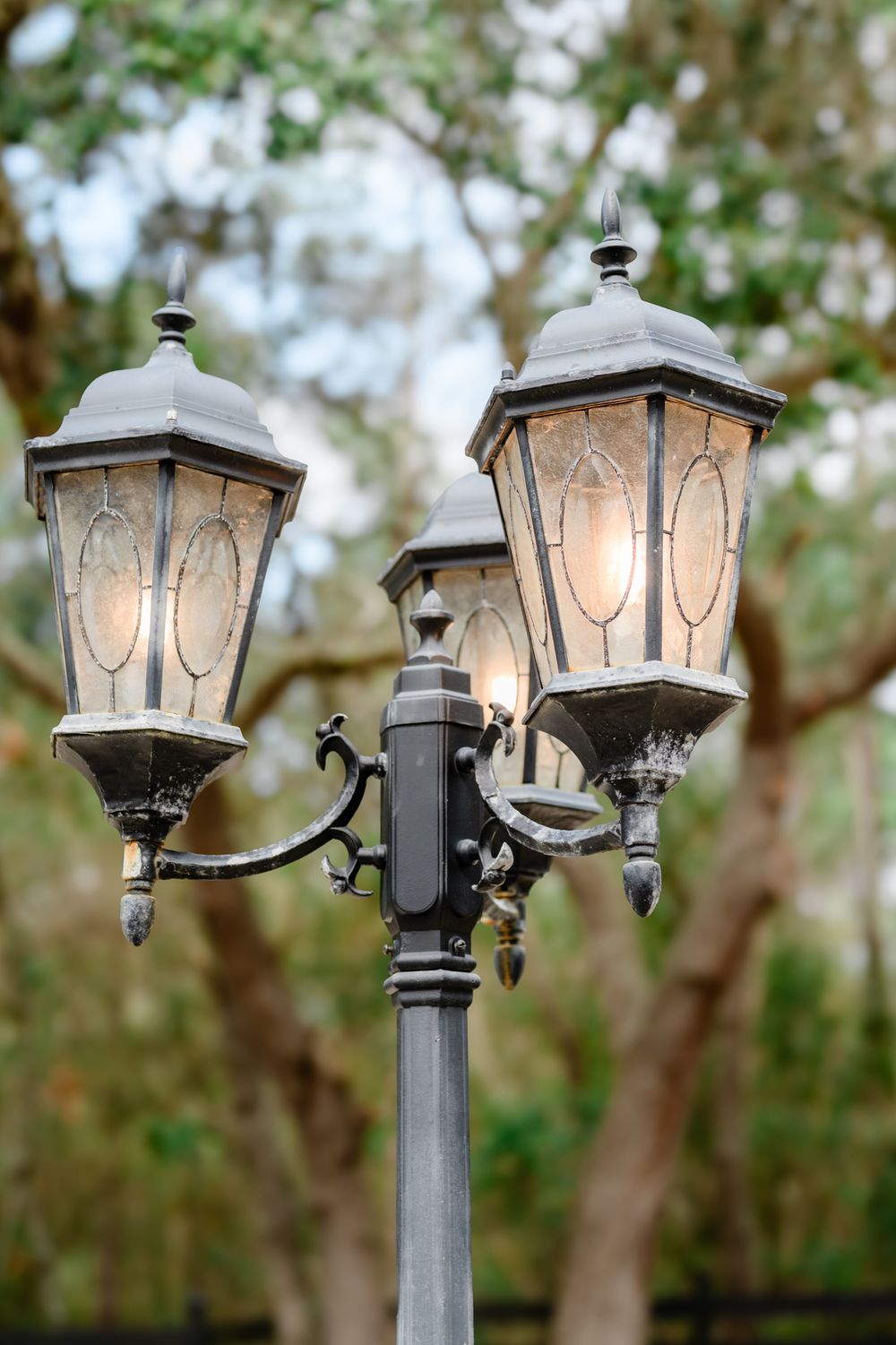 Vintage-style outdoor lamp posts with glowing lights against a green tree background.