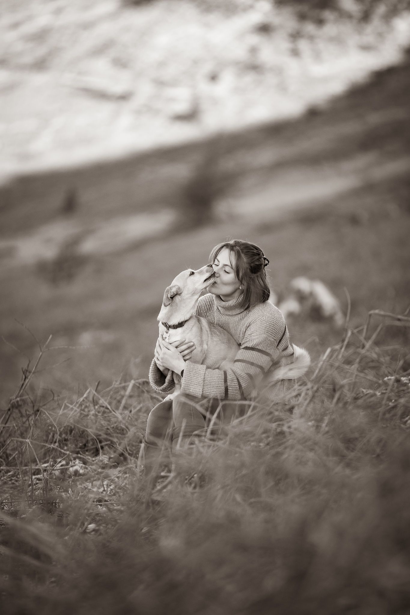 A series of photos showing a person with red hair interacting with a dark horse in a soft-focus outdoor setting.