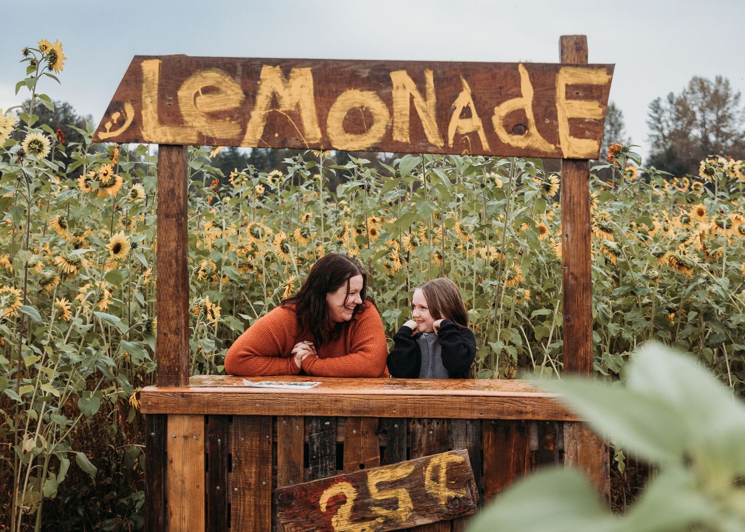 A rustic wooden lemonade stand nestled in a blooming sunflower field on a sunny autumn day.
