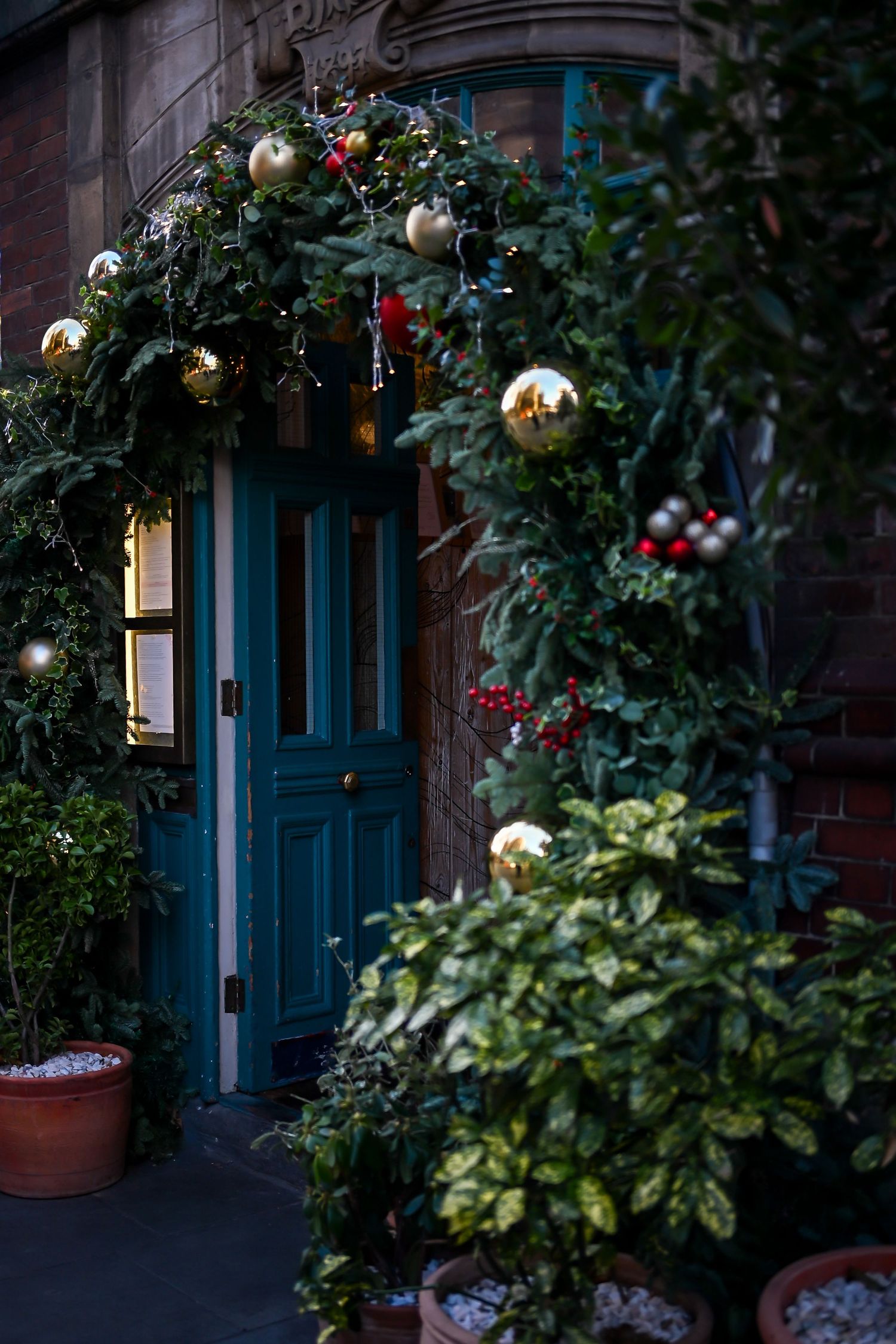 String lights illuminate an outdoor patio seating area with wooden tables and chairs under a tree canopy at night.
