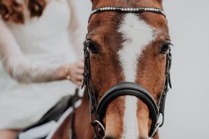 Close-up of a chestnut horse wearing a black bridle with rhinestone browband, ridden by a woman in white.