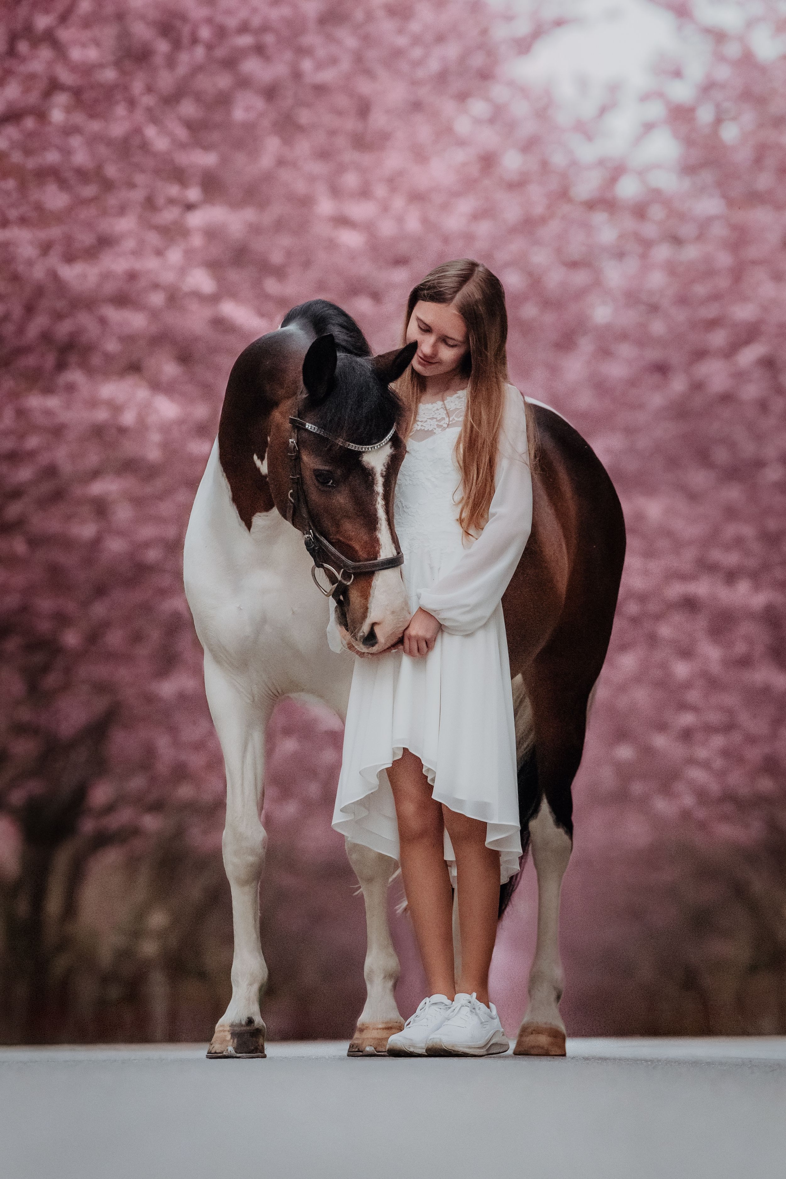 Young girl in white dress stands with a brown and white paint horse among pink cherry blossom trees.