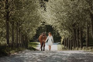Couple holding hands walking down a tree-lined path in a lush green park during a romantic outdoor engagement session.