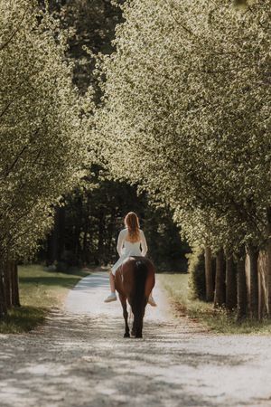 A red-haired woman in white rides a chestnut horse down a sunlit tree-lined path in bloom.