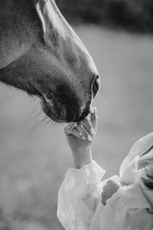 Black and white photo of a horse sniffing a woman's hand wearing a diamond ring, wearing a white dress.