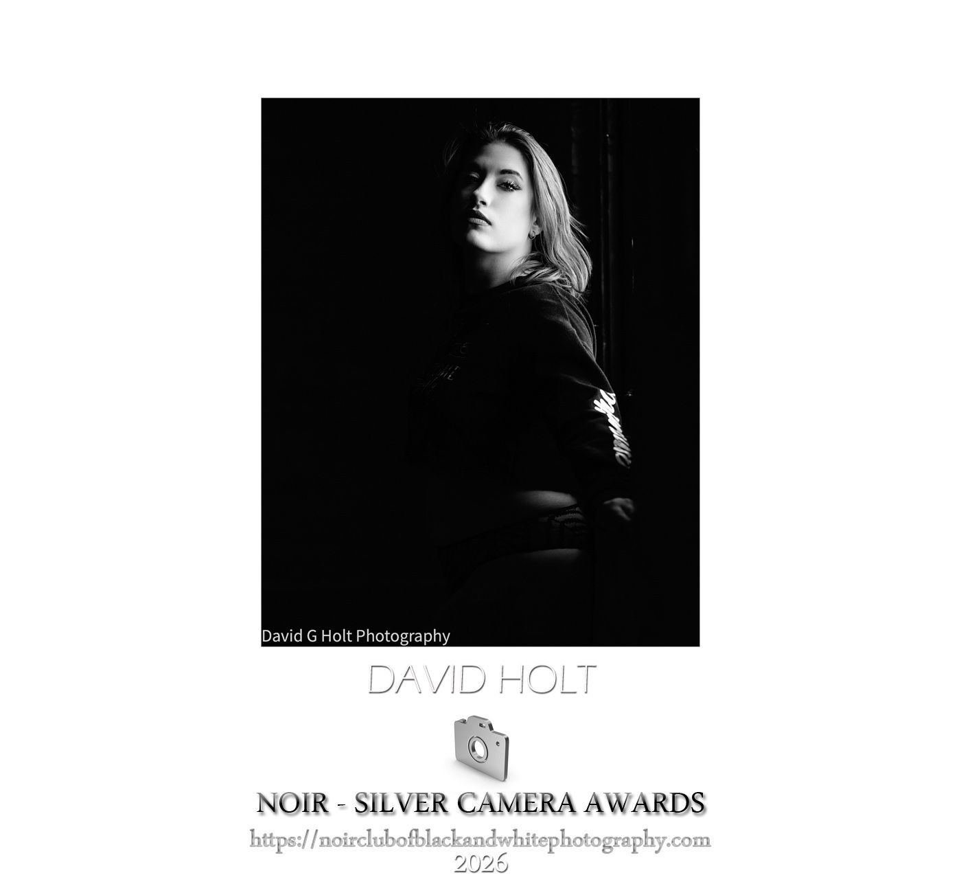 David G Holt Photography - Black and silver photography award certificate with artistic portrait elements.