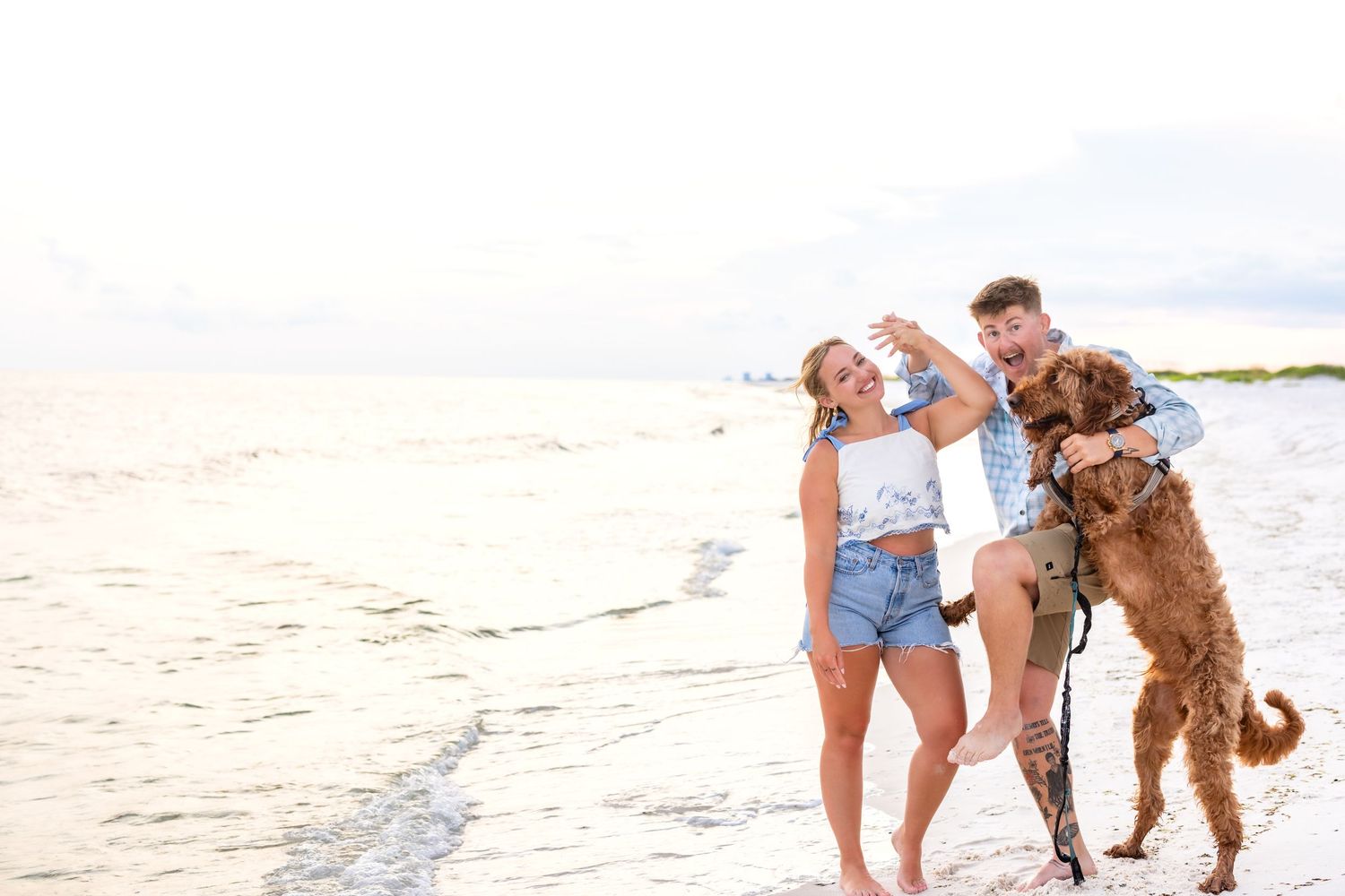 A collection of connected beach portraits showing family and dog moments along a sandy shoreline during sunset.