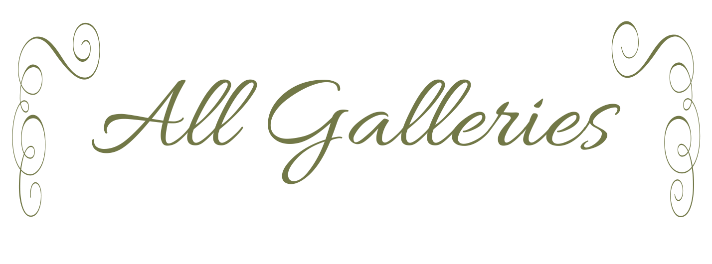 Decorative text banner reading 'All Galleries' with swirling ornaments in olive green.