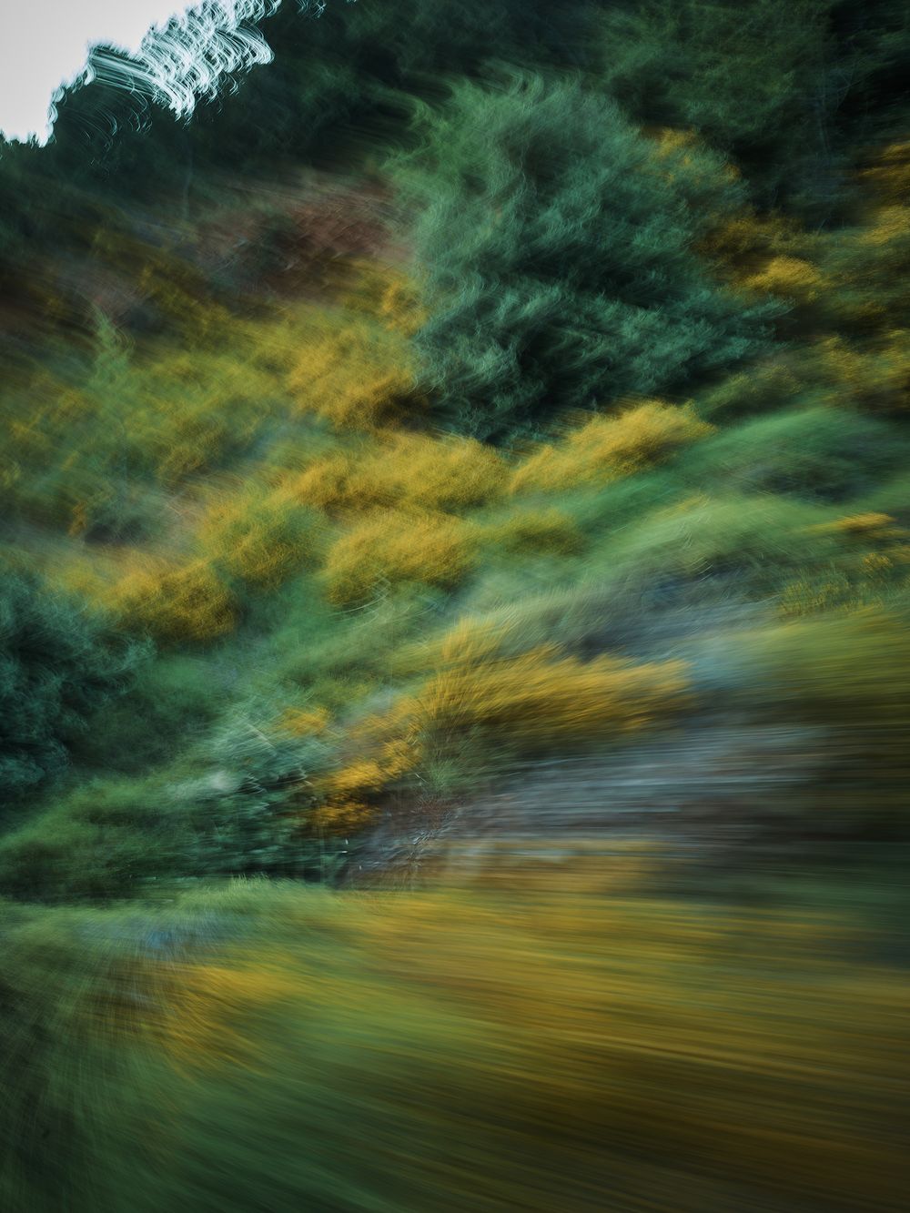 Abstract motion blur photograph shows swirling green and yellow colors creating a dynamic forest scene in nature.
