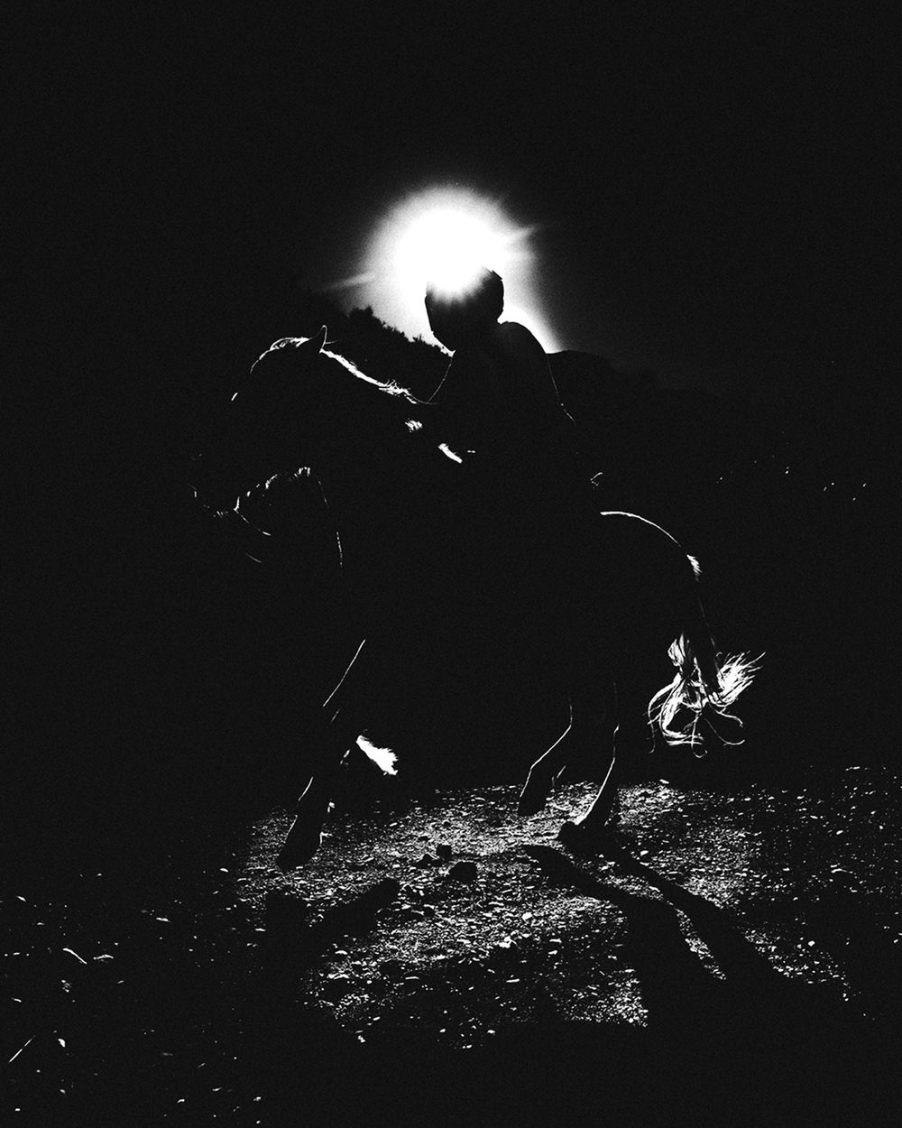 A dramatic black and white sequence showing a cat hunting and pouncing on prey in the darkness.