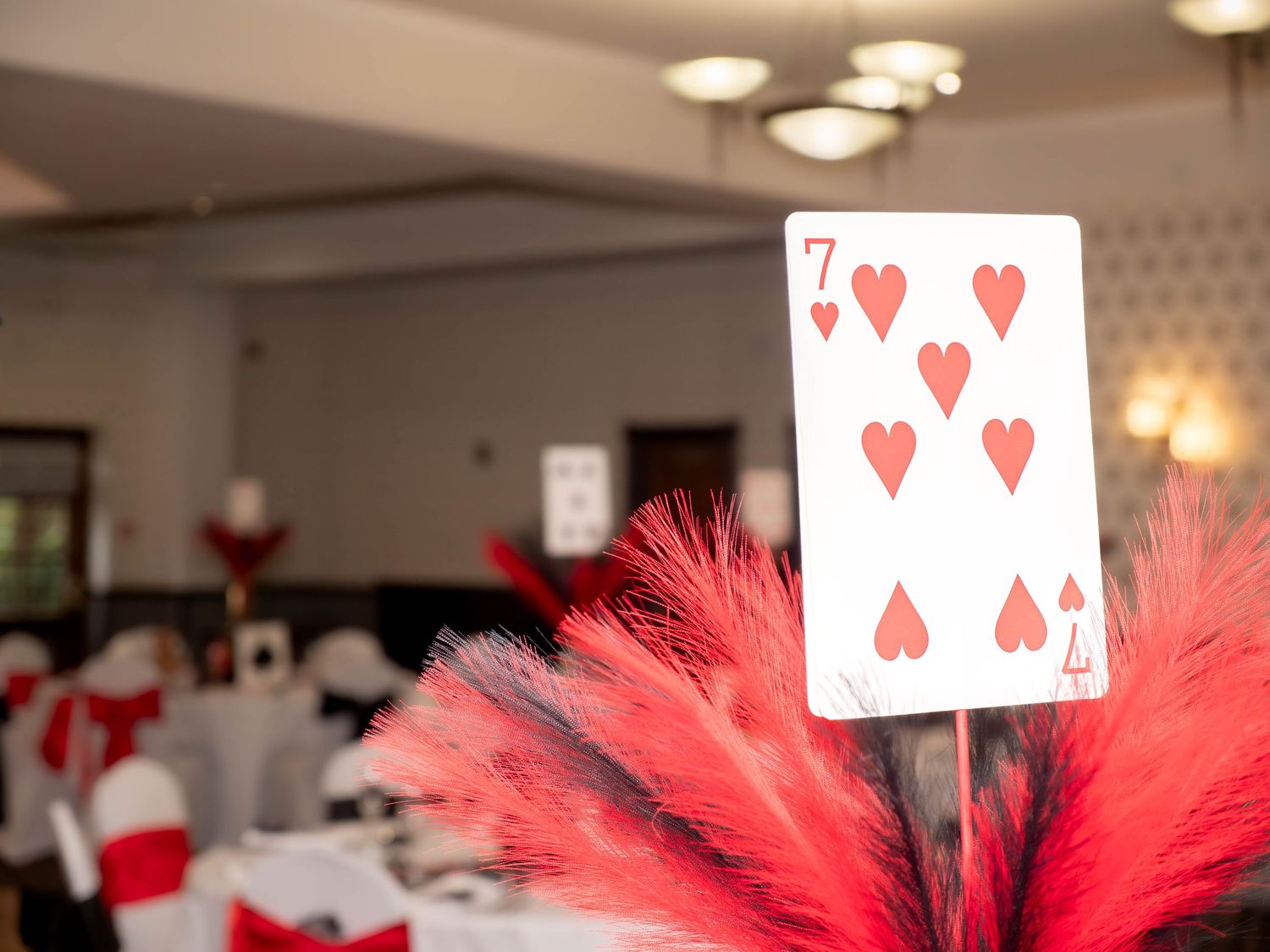 wedding photographer
nottingham photographer
derby photographer
dog photographer
equine photographer