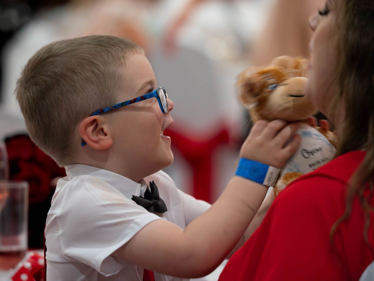 wedding photographer
nottingham photographer
derby photographer
dog photographer
equine photographer