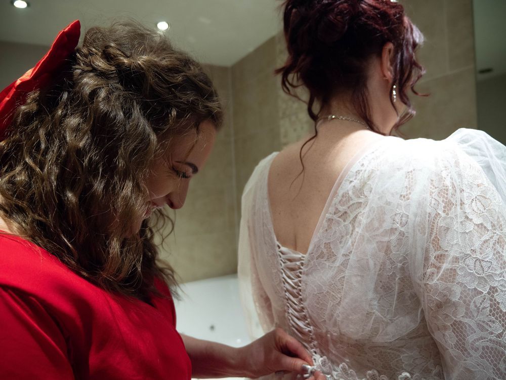 wedding photographer
nottingham photographer
derby photographer
dog photographer
equine photographer