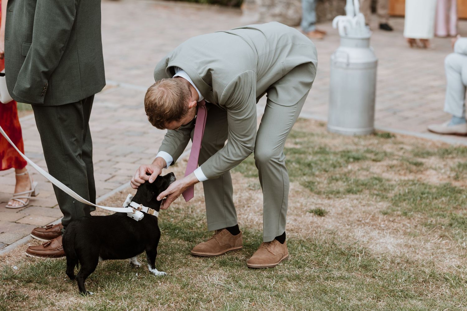 Dogs playing on the lawn outside during a social gathering while being watched by people at wedding at Moat Hall Barns