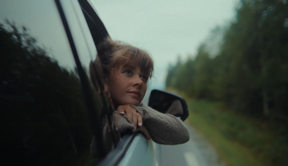 Rainy day view through car window with evergreen trees lining rural road.