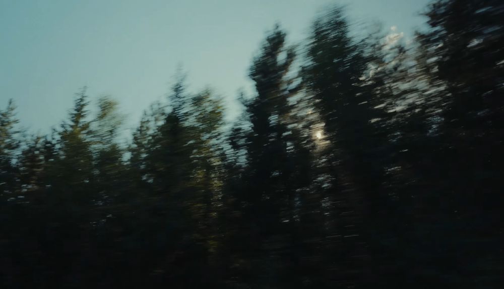 Silhouettes of pine trees against a dusky sky create a moody forest landscape at sunset.
