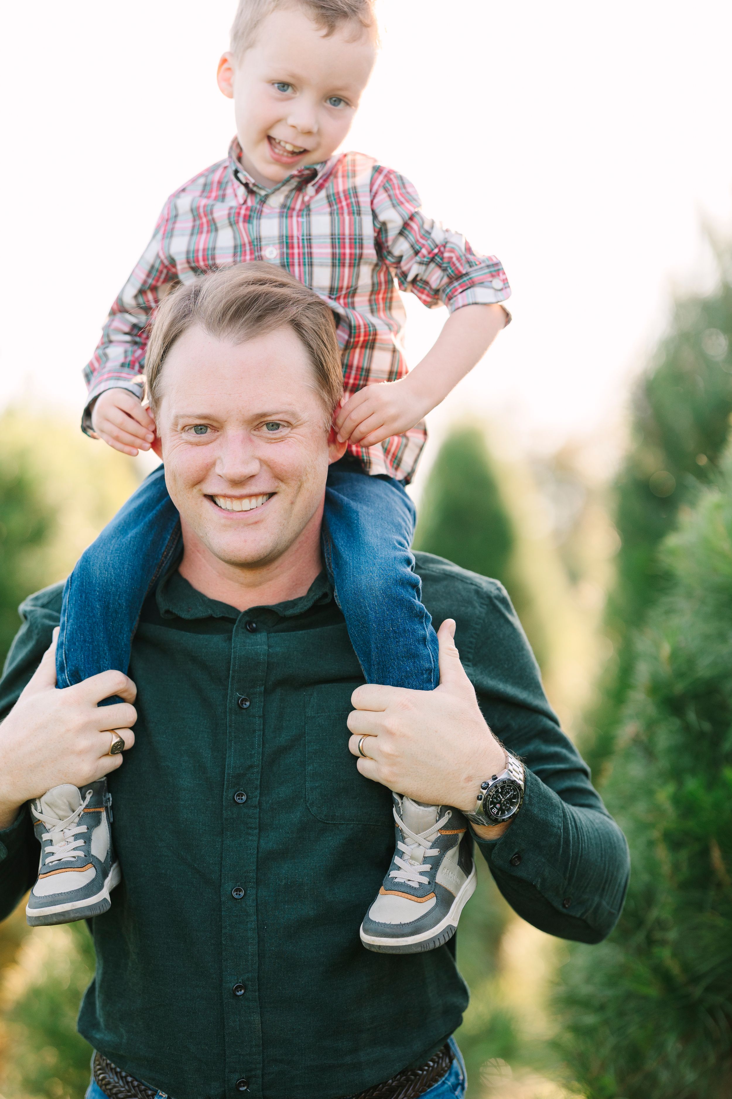 A child rides on someone's shoulders among evergreen trees at sunset.