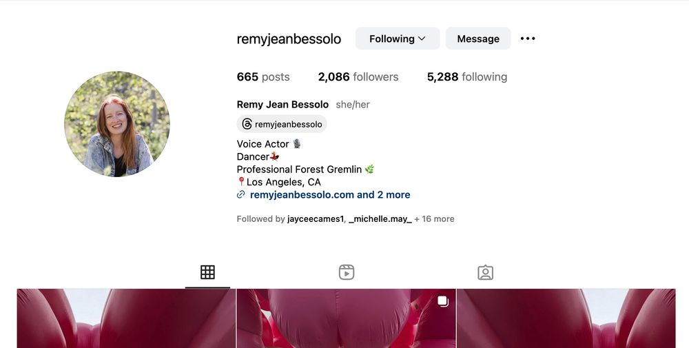 Instagram profile page showing social media statistics and grid layout.