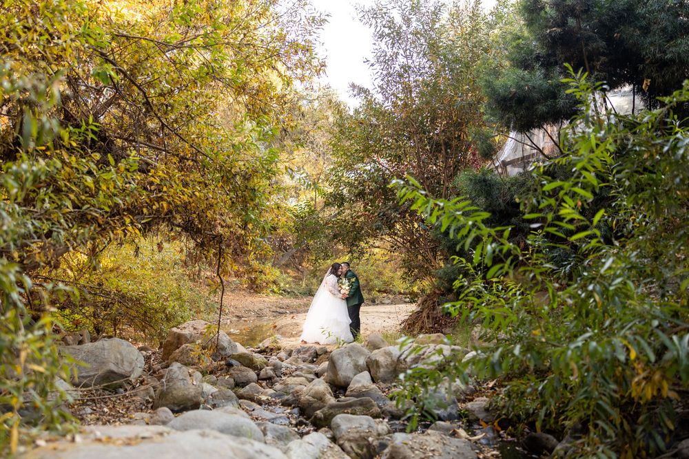 A natural stone pathway winds through a lush garden setting with scattered rocks and green foliage in warm afternoon light.
