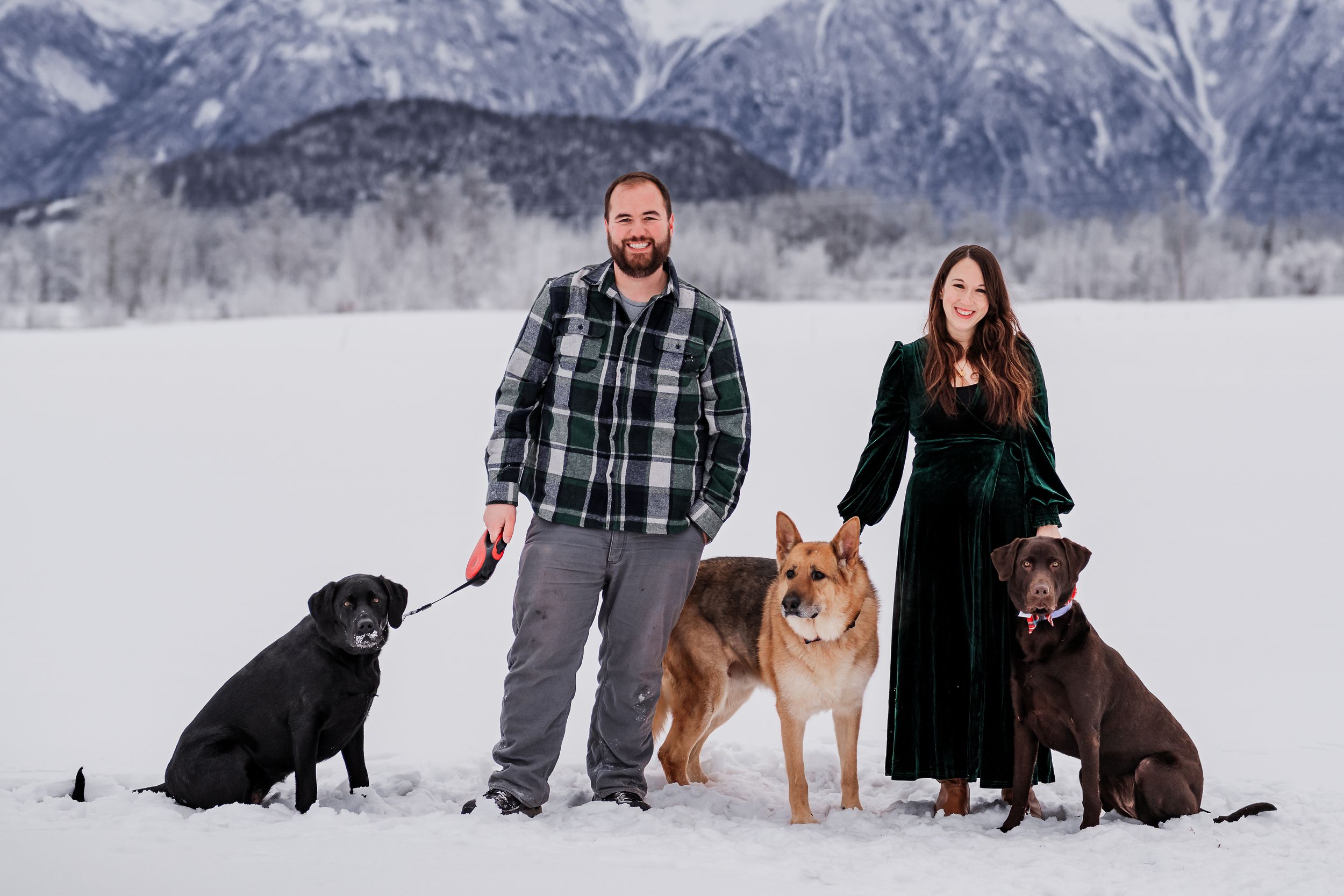 Winter engagement photos with 3 dogs.