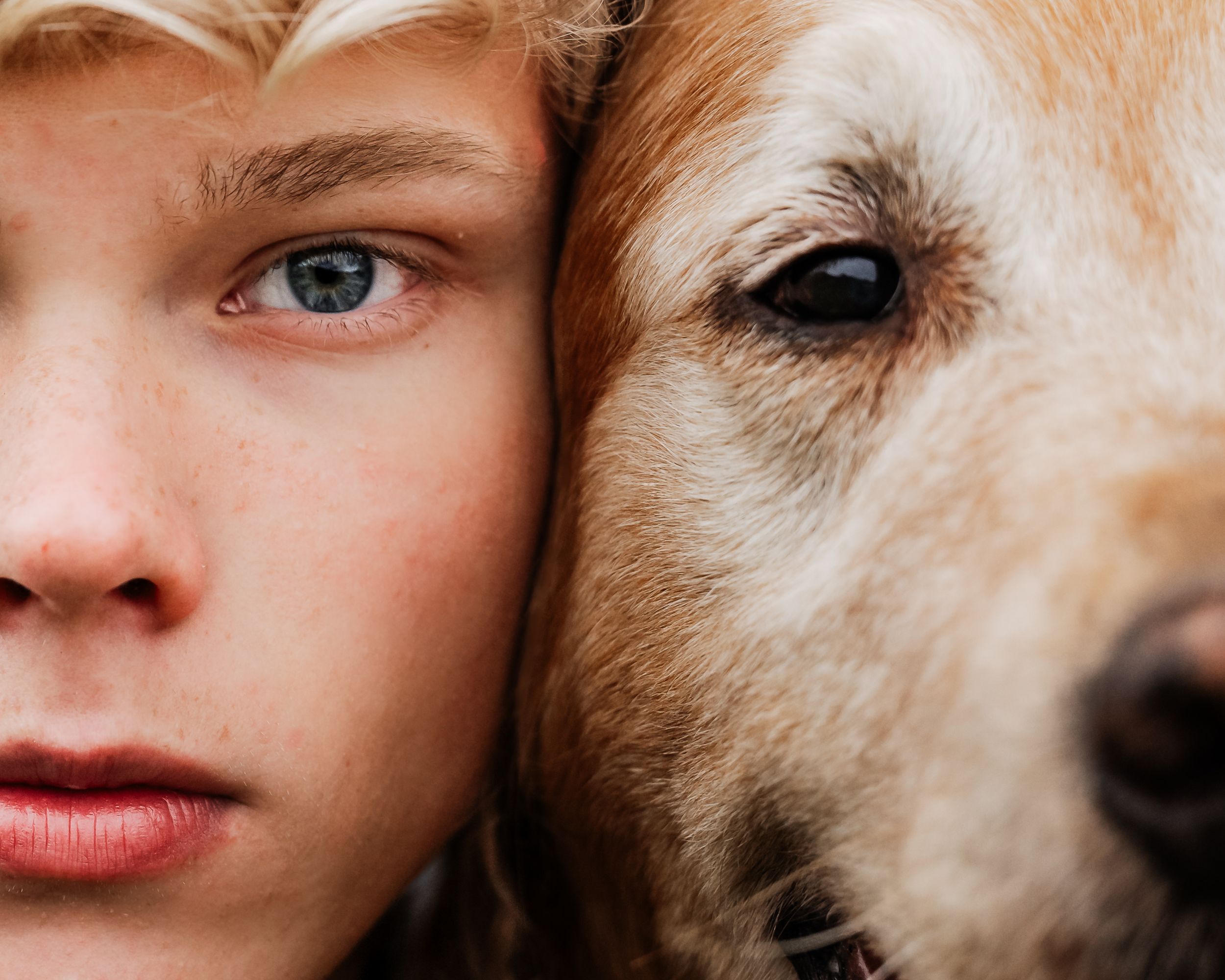 Close up artistic portrait showing partial faces and a dog's snout arranged in a horizontal collage.