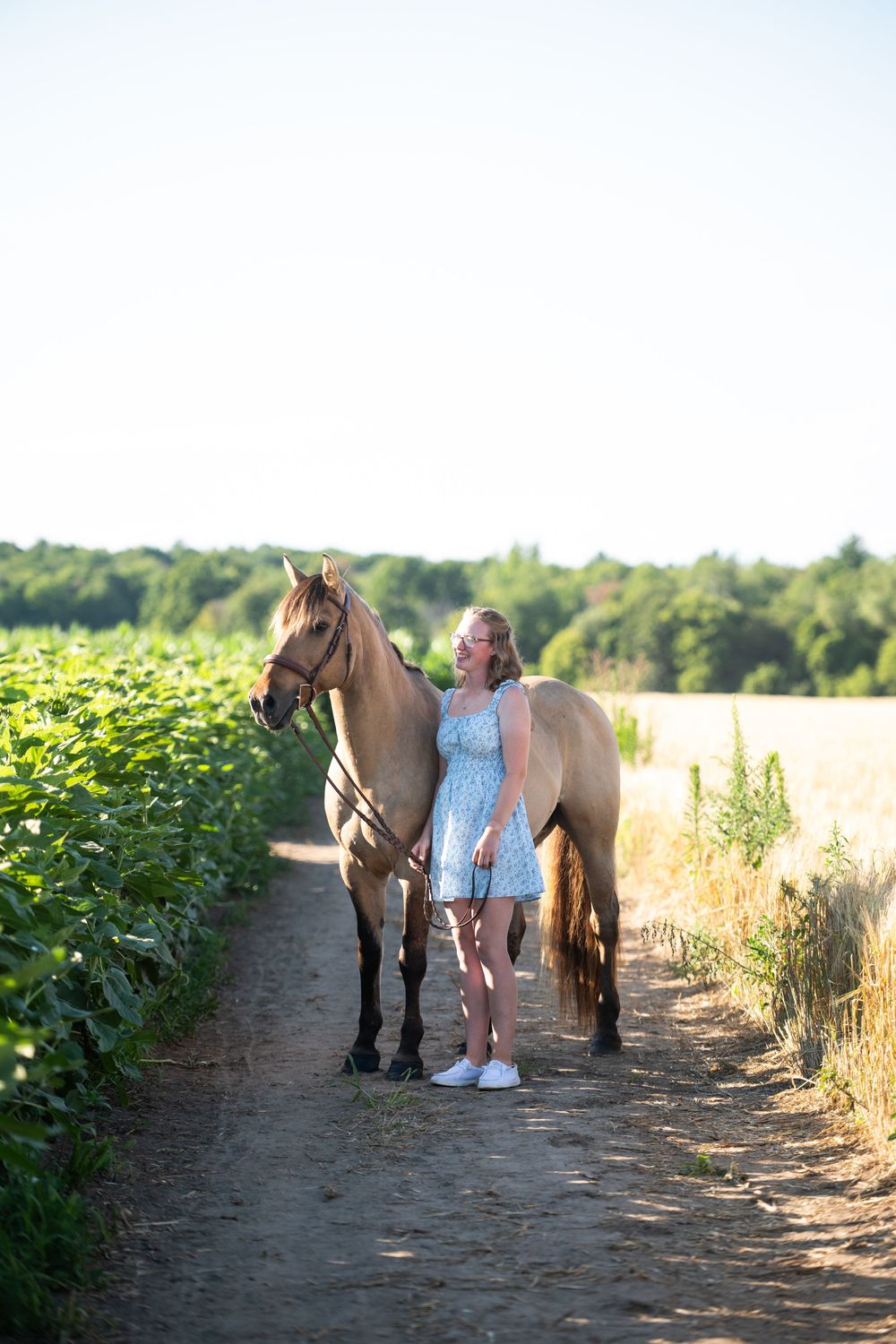 A young child in a dress walks alongside a brown pony down a dirt path through a scenic countryside at sunset.