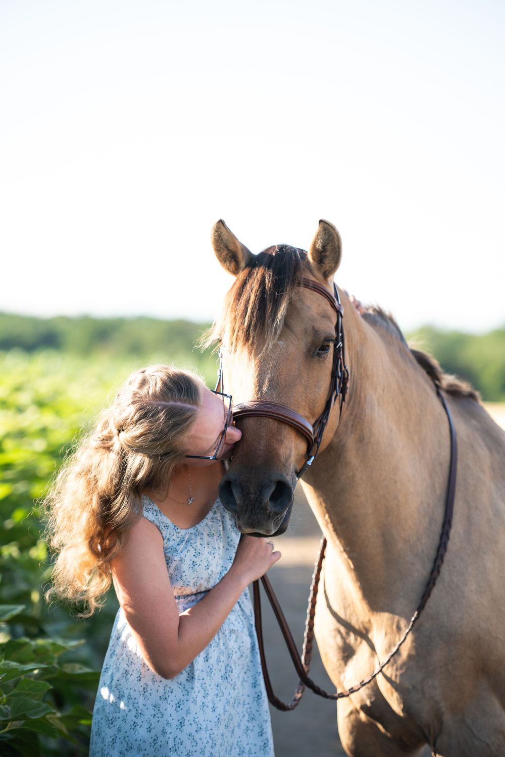 A series of tender moments shared with a brown horse in a sunny field with greenery in the background.